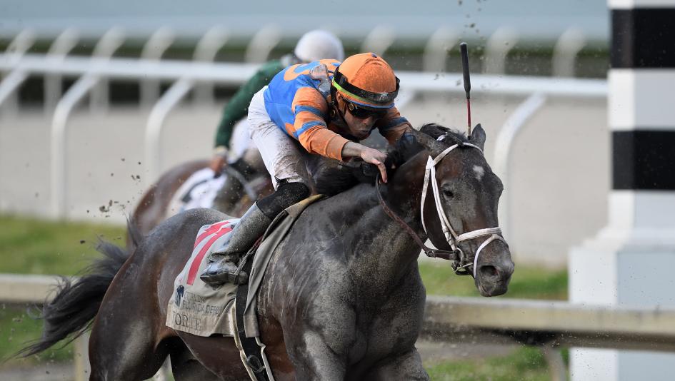 2023 Kentucky Derby, NTRA. 3-year-old Thoroughbred poll, Forte, Practical Move, Tapit Trice